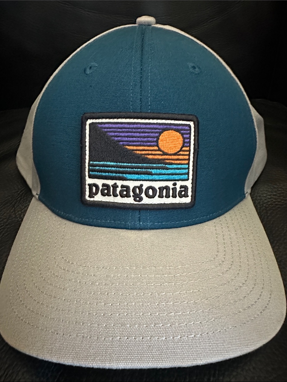 Patagonia Up and Out Roger That Hat